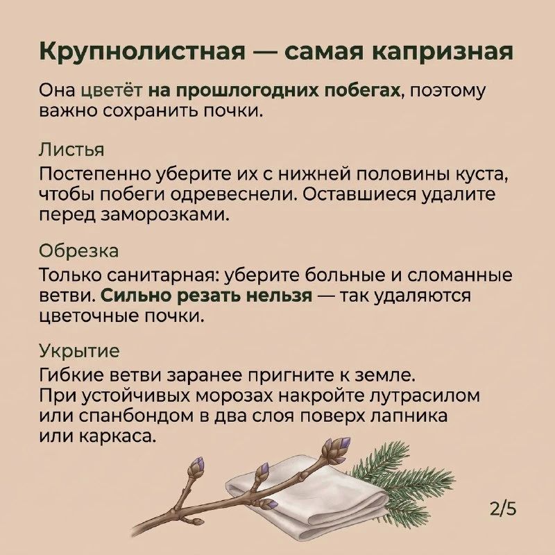 � ������� ��������� ������� � ���� ��-������� � � ��� ������� �� ����
