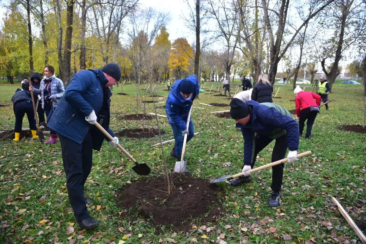Хорошее утро начинается с полезных дел Хорошее утро начинается с полезных дел