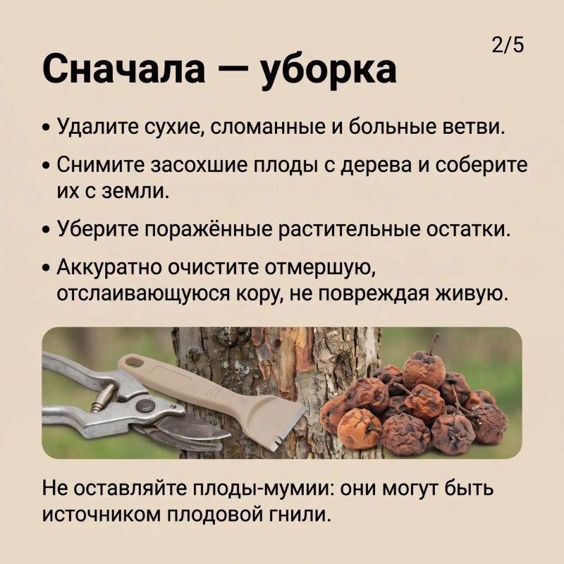 ������ ����� � � ������� ����� ��� �� ��������
